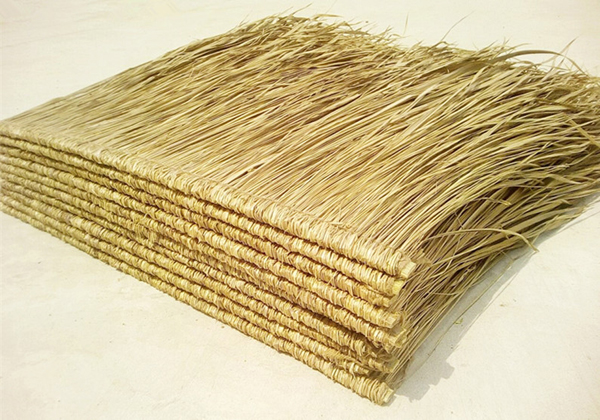 天然茅草