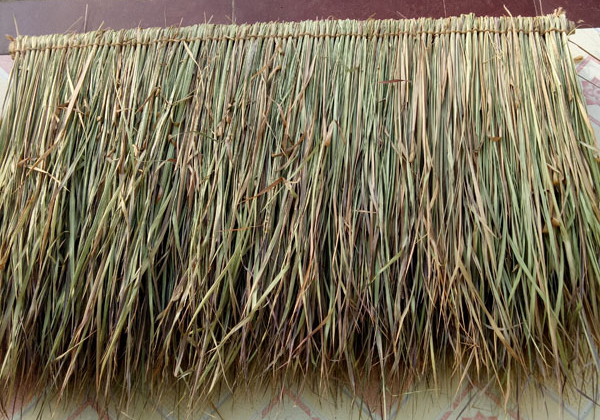 天然茅草